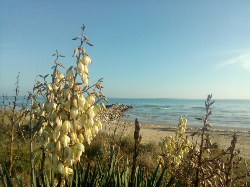 Villa Trifoglio Lido di Jesolo Eksteriør billede